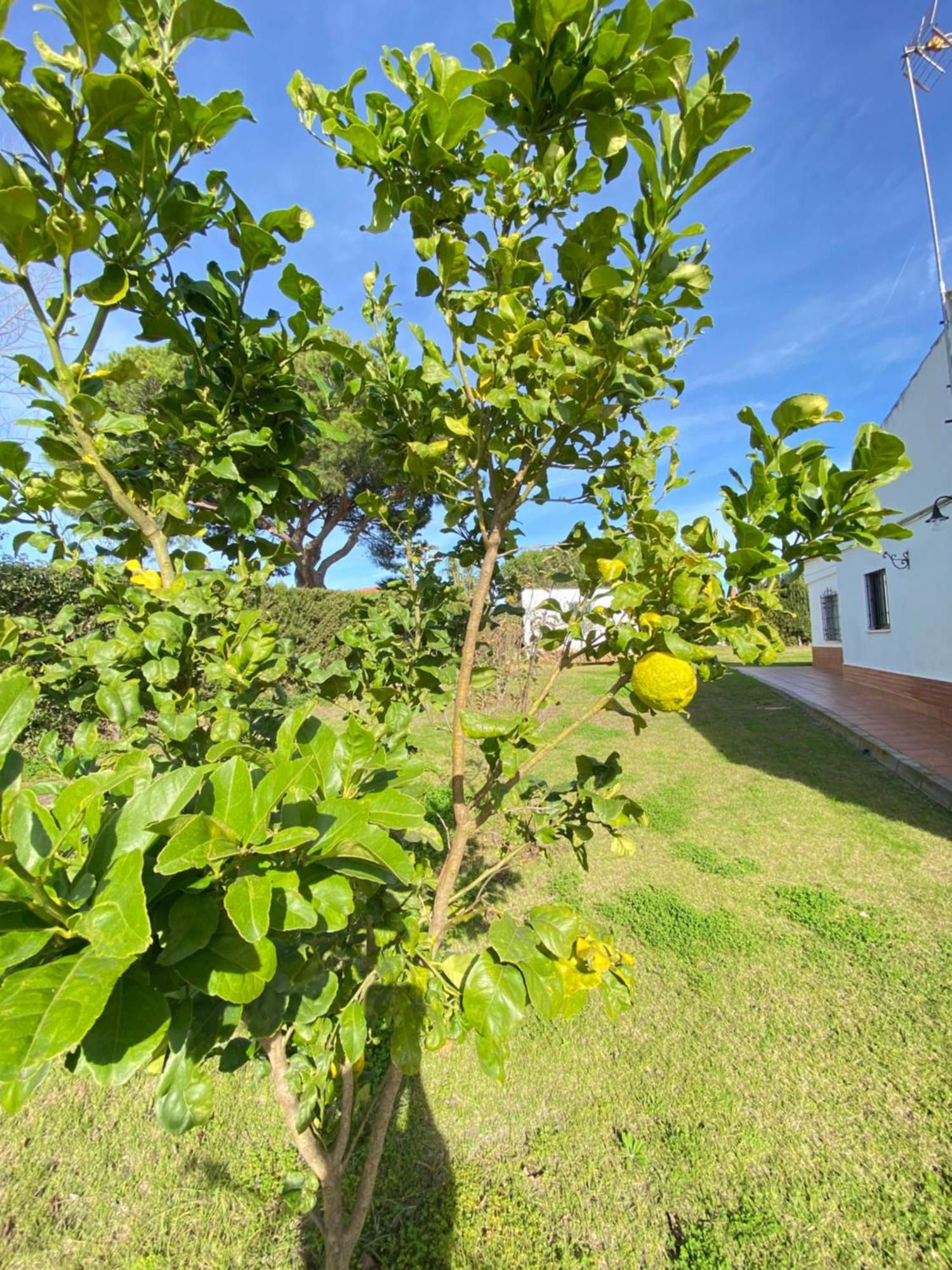 Villa Lua Cartaya Ngoại thất bức ảnh
